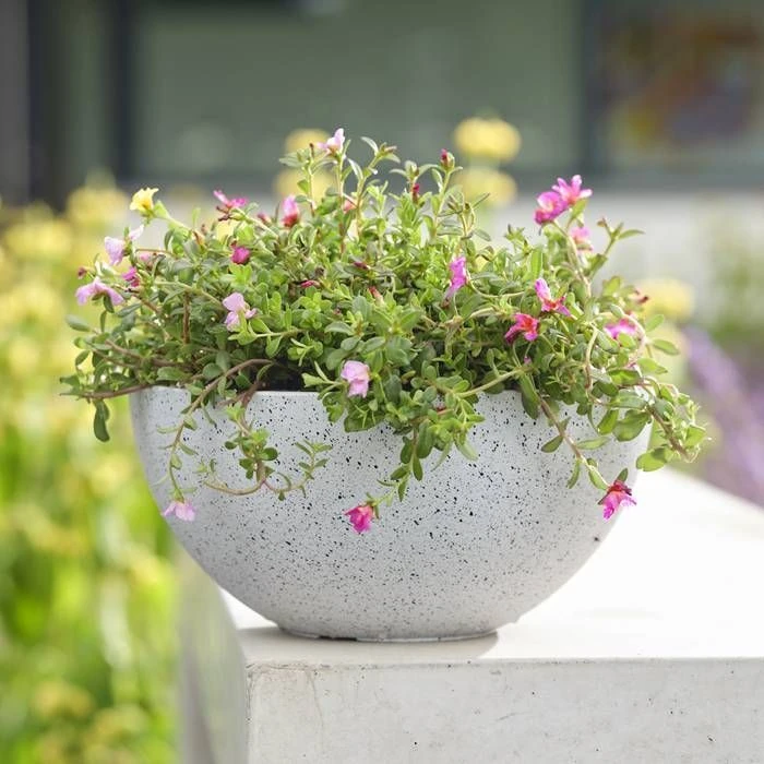 usine boutique -usine boutique fd21241wh 1