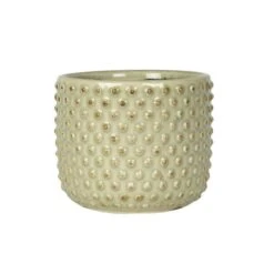 Pot Bolino Menthe 18 Cm