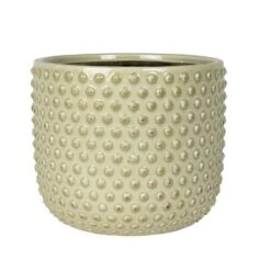 Pot Bolino Menthe 21 Cm