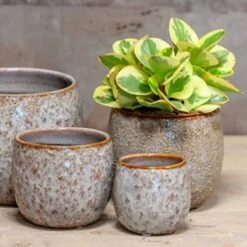 Pot Sierra Living Gris 13 Cm -usine boutique fd22194wh