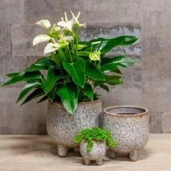 Pot Living Sur Pied Gris 15 Cm -usine boutique fd22196wh 1