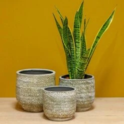 usine boutique -usine boutique fd22211wh